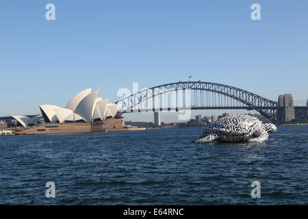 Sydney, NSW 2000, Australia. 15 August 2014. To celebrate the opening of World's first Undersea Art Exhibition at Sydney Aquarium a giant 15m floating sea turtle sculpture appeared on Sydney Harbour – viewed from near Mrs Macquarie's Chair. Copyright Credit:  2014 Richard Milnes/Alamy Live News. Stock Photo