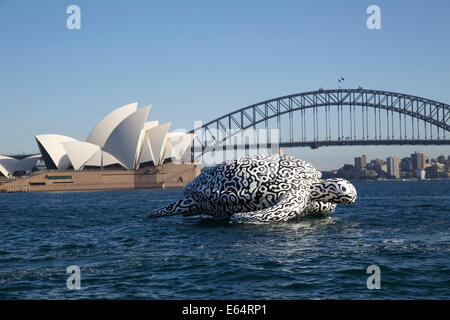 Sydney, NSW 2000, Australia. 15 August 2014. To celebrate the opening of World's first Undersea Art Exhibition at Sydney Aquarium a giant 15m floating sea turtle sculpture appeared on Sydney Harbour – viewed from near Mrs Macquarie's Chair. Copyright Credit:  2014 Richard Milnes/Alamy Live News. Stock Photo