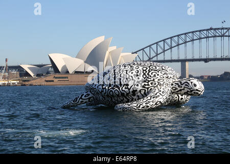 Sydney, NSW 2000, Australia. 15 August 2014. To celebrate the opening of World's first Undersea Art Exhibition at Sydney Aquarium a giant 15m floating sea turtle sculpture appeared on Sydney Harbour – viewed from near Mrs Macquarie's Chair. Copyright Credit:  2014 Richard Milnes/Alamy Live News. Stock Photo