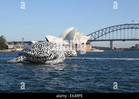 Sydney, NSW 2000, Australia. 15 August 2014. To celebrate the opening of World's first Undersea Art Exhibition at Sydney Aquarium a giant 15m floating sea turtle sculpture appeared on Sydney Harbour. The Sydney Opera House and Sydney Harbour Bridge are in the background. Copyright Credit:  2014 Richard Milnes/Alamy Live News. Stock Photo