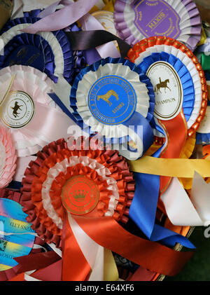 A box of old horse show rosettes in a farmhouse in Dorset UK Stock