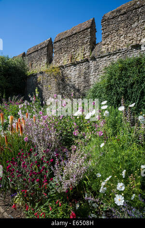 Gardens with City Wall and herbaceous border, New College, Oxford, England, UK Stock Photo