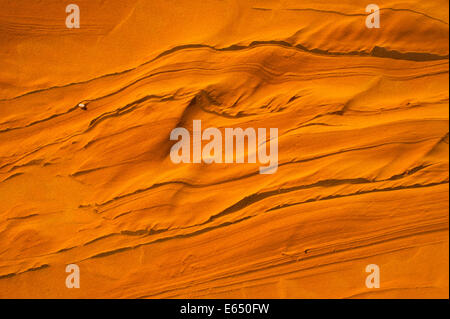 Patterns in the sand formed by wind, after heavy rains, sand dunes of Erg Chebbi, Sahara, Southern Morocco, Morocco Stock Photo