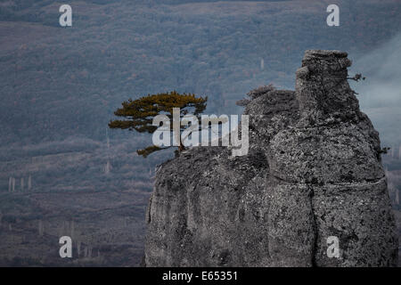 Monochrome photo of foggy mountain valley. Demerdzhi area, Crimea, Ukraine Stock Photo