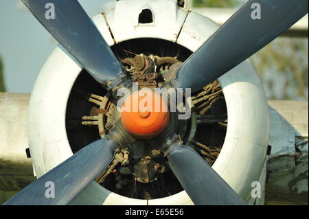 Antonov 24, Propeller, Flughafen Burgas, Bulgarien. Stock Photo