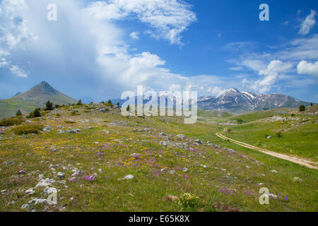 mountain, range, national park, Italy, summertime, Abruzzo Stock Photo