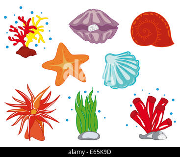 Tropical Ocean Flora Stock Photo