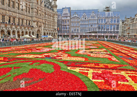 Brussels, Belgium. 15th Aug, 2014. A giant carpet is made with 600,000 begonia flowers within the celebrations of the 50th anniversary of Turkish workers' migration to Belgium at Grand Place in Brussels, Belgium on August 15, 2014. Putting out a 75-meter-length and 25-meter-width carpet, 100 workers work all day to reflect the famous Turkish Usak carpet patterns. Credit:  Bombaert Patrick/Alamy Live News Stock Photo