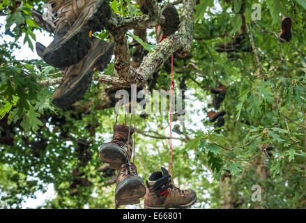 Boot tree on the Appalachian Trail where vast clusters of worn out hiking boots hang like fruit at Walasi-Yi near Blairsville, Georgia. (USA) Stock Photo
