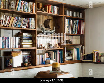 Bookshelves in Home Den, USA Stock Photo