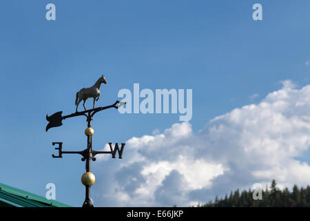 Western Motif Weather Vane, Montana, USA Stock Photo