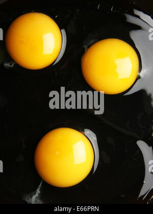 Three yolks close-up view from above Stock Photo