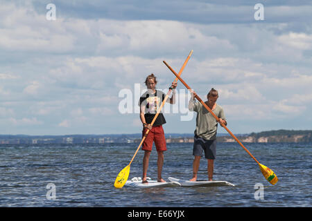 Two young men stand up paddling in Oresund, the Sound, at Rungsted, north of Copenhagen. Background the Swedish island Ven. Stock Photo
