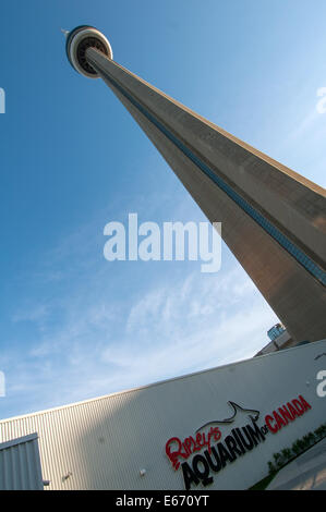 CN tower downtown Toronto Stock Photo