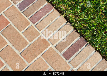 At the edge of a nice clean brick pavers walkway and lush green grass on a bright sunny afternoon. Stock Photo