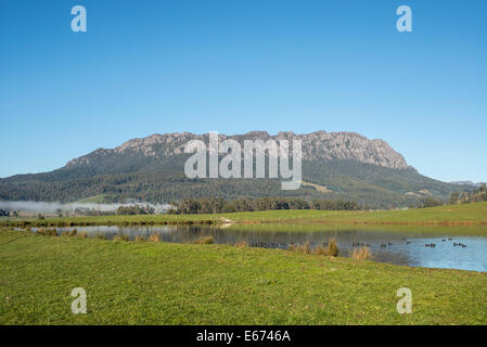Tasmanian countryside and Mt Roland Stock Photo - Alamy