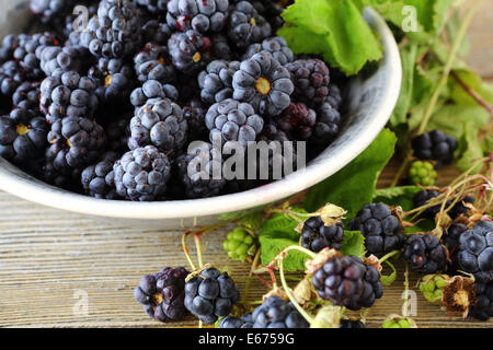 forest fresh blackberries in a bowl food closeup Stock Photo