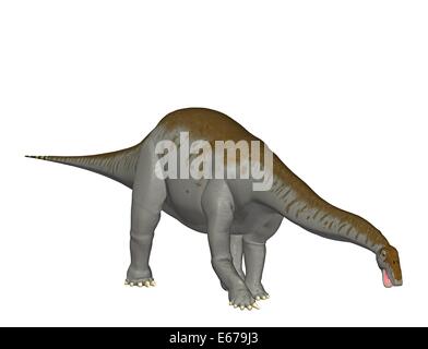 Dinosaurier Apatosaurus / dinosaur Apatosaurus Stock Photo