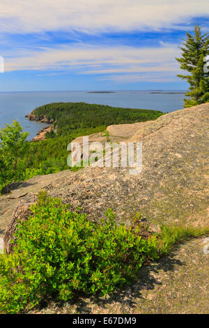 Otter Cliff seen from Gorham Mountain Trail, Acadia National Park, Maine, USA Stock Photo