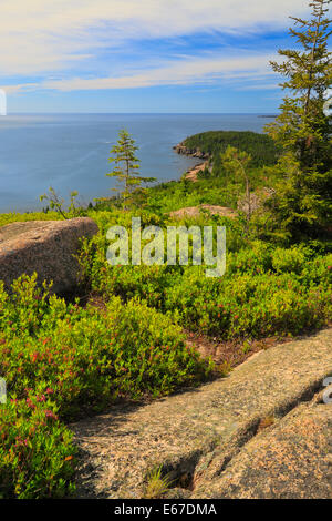 Otter Cliff seen from Gorham Mountain Trail, Acadia National Park, Maine, USA Stock Photo