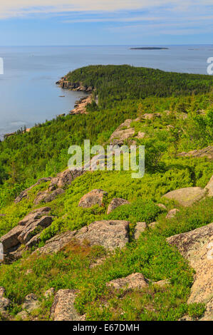 Otter Cliff seen from Gorham Mountain Trail, Acadia National Park, Maine, USA Stock Photo