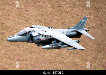 In RAF service, Harriers are used in the ground attack and reconnaissance roles. Unlike the Harrier AV8B+ upgrade, the RAF have Stock Photo