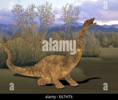 Dinosaurier Diplodocus / dinosaur Diplodocus Stock Photo