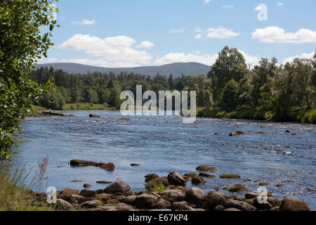 The River Spey near  Speybridge Grantown-on-Spey near Aviemore Speyside Scotland Stock Photo