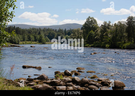 The River Spey near  Speybridge Grantown-on-Spey near Aviemore Speyside Scotland Stock Photo