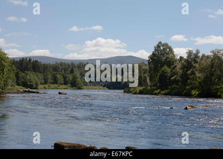 The River Spey near  Speybridge Grantown-on-Spey near Aviemore Speyside Scotland Stock Photo