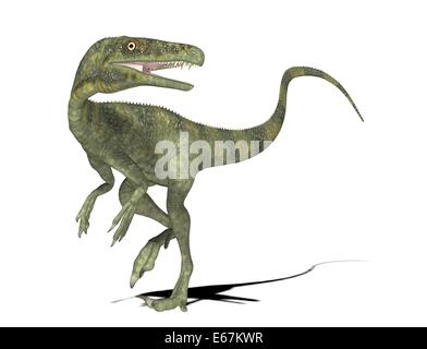 Dinosaurier Juravenator / dinosaur Juravenator Stock Photo