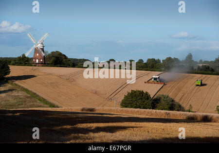 Harvest Time in Thaxted Essex England UK. 17 August 2014 Combine harvester brings in the last of the milling wheat from Simon Latham's farm in Thaxted in north Essex in England amid fine weather. The scene is made picture perfect with Thaxted Church and the ancient John Webbs Windmill in the background in the golden autumn evening light. Credit:  BRIAN HARRIS/Alamy Live News Stock Photo