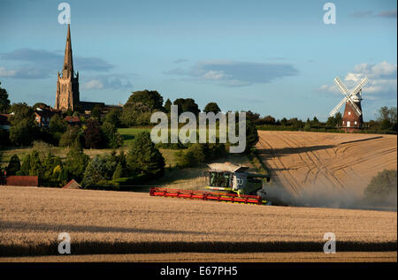 Harvest Time in Thaxted Essex England UK. 17 August 2014 Combine harvester brings in the last of the milling wheat from Simon Latham's farm in Thaxted in north Essex in England amid fine weather. The scene is made picture perfect with Thaxted Church and the ancient John Webbs Windmill in the background in the golden autumn evening light. Credit:  BRIAN HARRIS/Alamy Live News Stock Photo