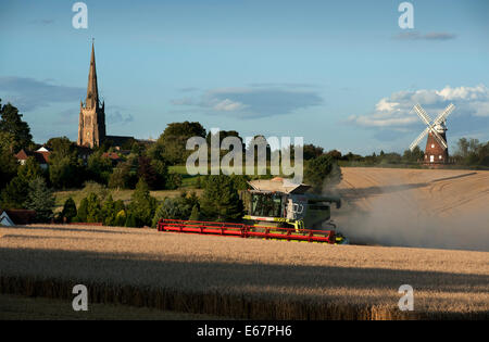 Harvest Time in Thaxted Essex England UK. 17 August 2014 Combine harvester brings in the last of the milling wheat from Simon Latham's farm in Thaxted in north Essex in England amid fine weather. The scene is made picture perfect with Thaxted Church and the ancient John Webbs Windmill in the background in the golden autumn evening light. Credit:  BRIAN HARRIS/Alamy Live News Stock Photo