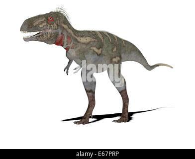 Dinosaurier Nanotyrannus / dinosaur Nanotyrannus Stock Photo