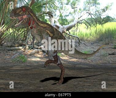 Dinosaurier Nanotyrannus / dinosaur Nanotyrannus Stock Photo