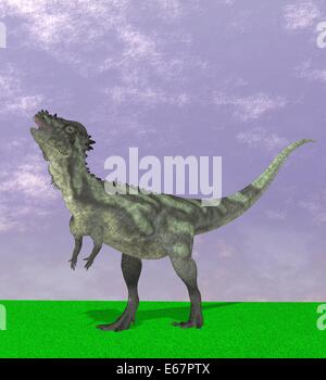 Dinosaurier Pachycephalosaurus / dinosaur Pachycephalosaurus Stock Photo