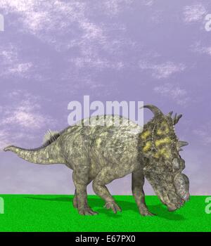 Dinosaurier Pachyrhinosaurus / dinosaur Pachyrhinosaurus Stock Photo