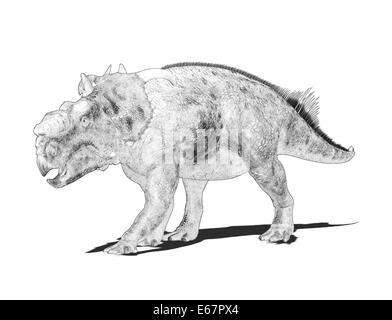 Dinosaurier Pachyrhinosaurus / dinosaur Pachyrhinosaurus Stock Photo
