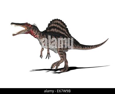Dinosaurier Spinosaurus / dinosaur Spinosaurus Stock Photo