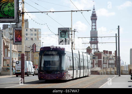 Electric tram on the seafront at Blackpool Lancashire UK and the famous tower Stock Photo