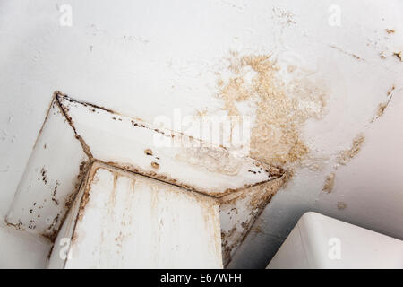 Wall damaged by water leak in a council estate apartment in London, England Stock Photo