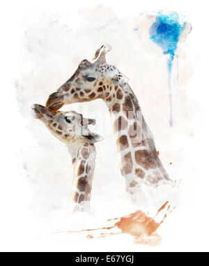 Watercolor Digital Painting Of  Mother And Baby Giraffes Stock Photo