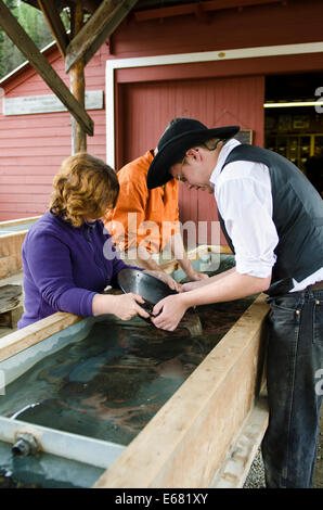 Panning for gold in historic old gold town Barkerville, British Columbia, Canada. Stock Photo