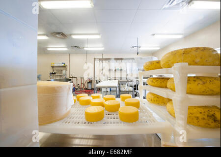 Homemade cheeses cheese knives on shelf rack Farm House Natural Cheeses factory, Agassiz, British Columbia, Canada. Stock Photo