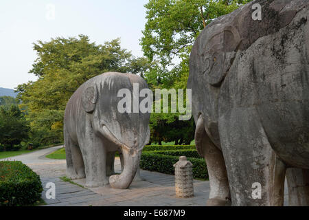 Elephant statues on Stone Statue Road at Ming Xiaoling, Ming dynasty tomb, Nanjing, Jiangsu, China. Stock Photo