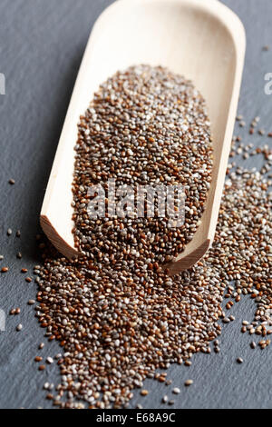 Chia seeds on a scoop Stock Photo