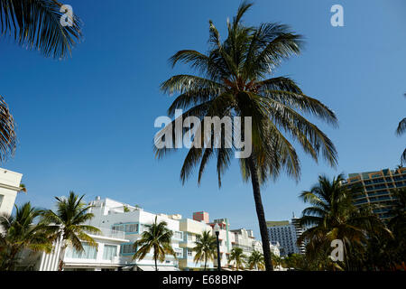 Ocean Drive South Beach Miami in Florida USA,  art deco shops restaurants and hotels along the sea front road Stock Photo