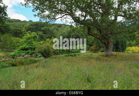 The gardens at Rosemoor, outside of Torrington and close to Bideford in the county of Devon, England, UK Stock Photo