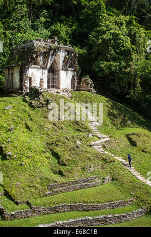 A tourist climbs the steps leading to the Temple of the Foliated Cross at the Mayan ruins of Palenque, Chiapas, Mexico. Stock Photo